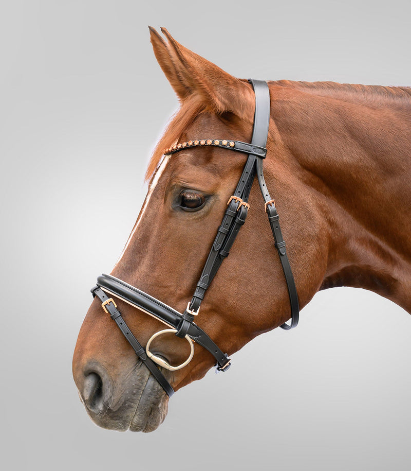 Zirglietas un Piederumi